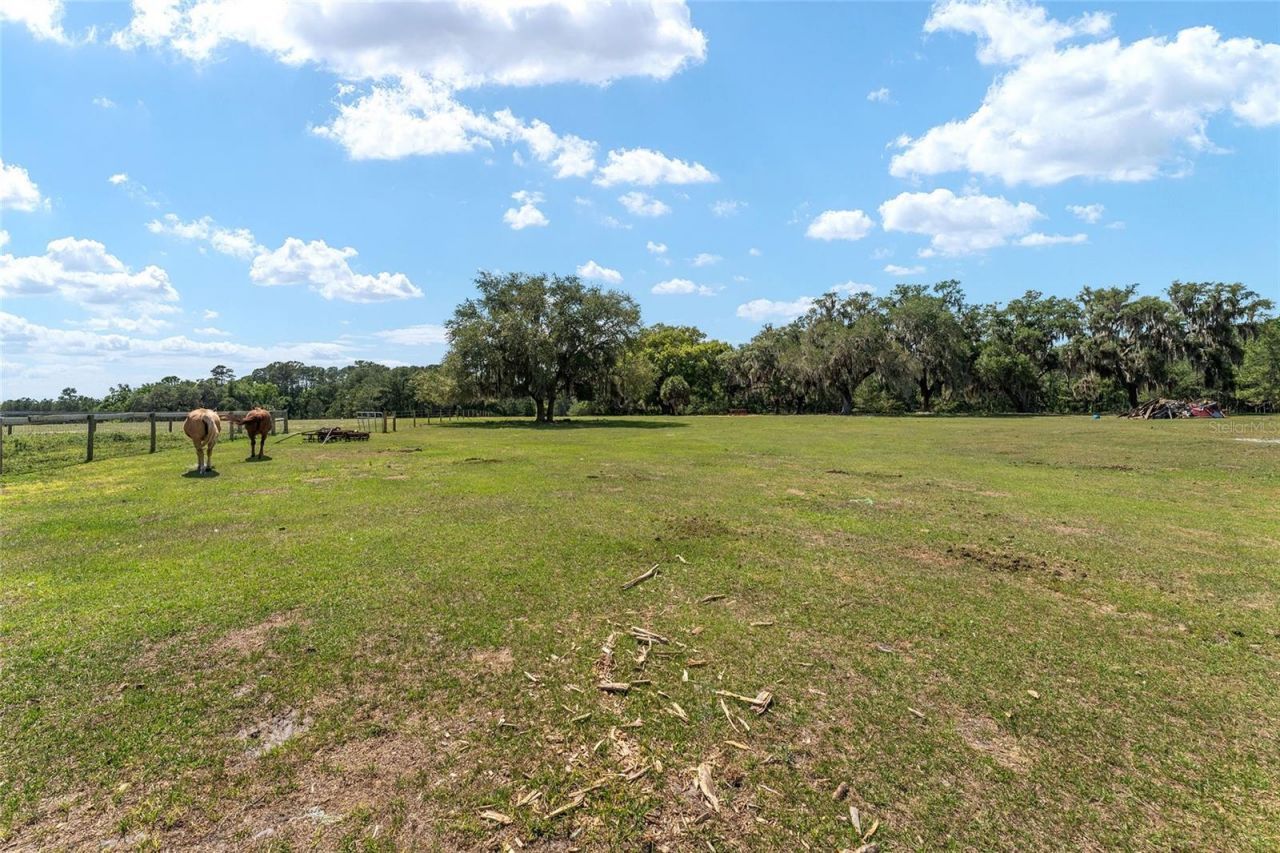 15120 SE 85th Street, Ocklawaha, FL 32179 Photo