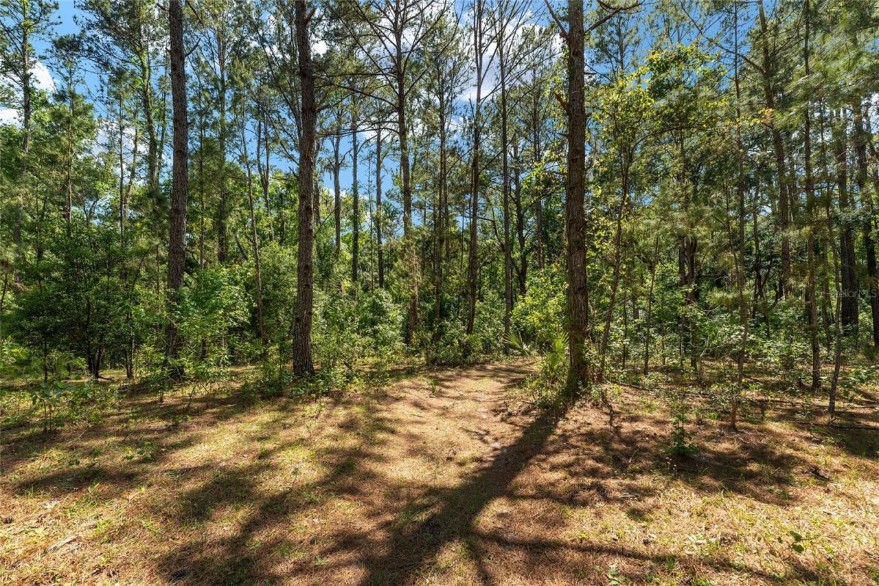 15120 SE 85th Street, Ocklawaha, FL 32179 Photo