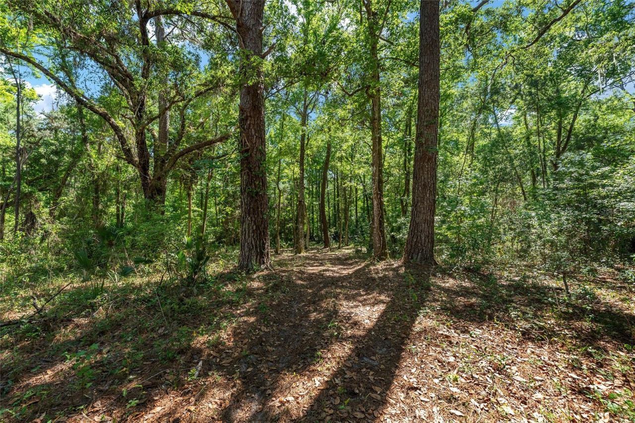 15120 SE 85th Street, Ocklawaha, FL 32179 Photo