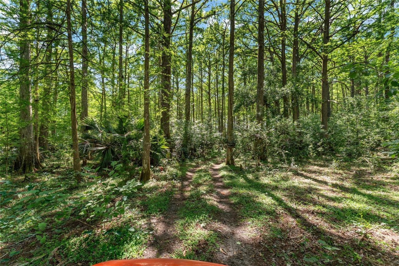 15120 SE 85th Street, Ocklawaha, FL 32179 Photo