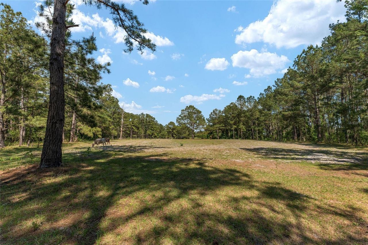 15120 SE 85th Street, Ocklawaha, FL 32179 Photo