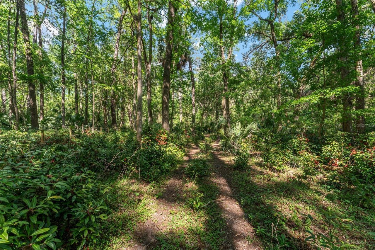 15120 SE 85th Street, Ocklawaha, FL 32179 Photo