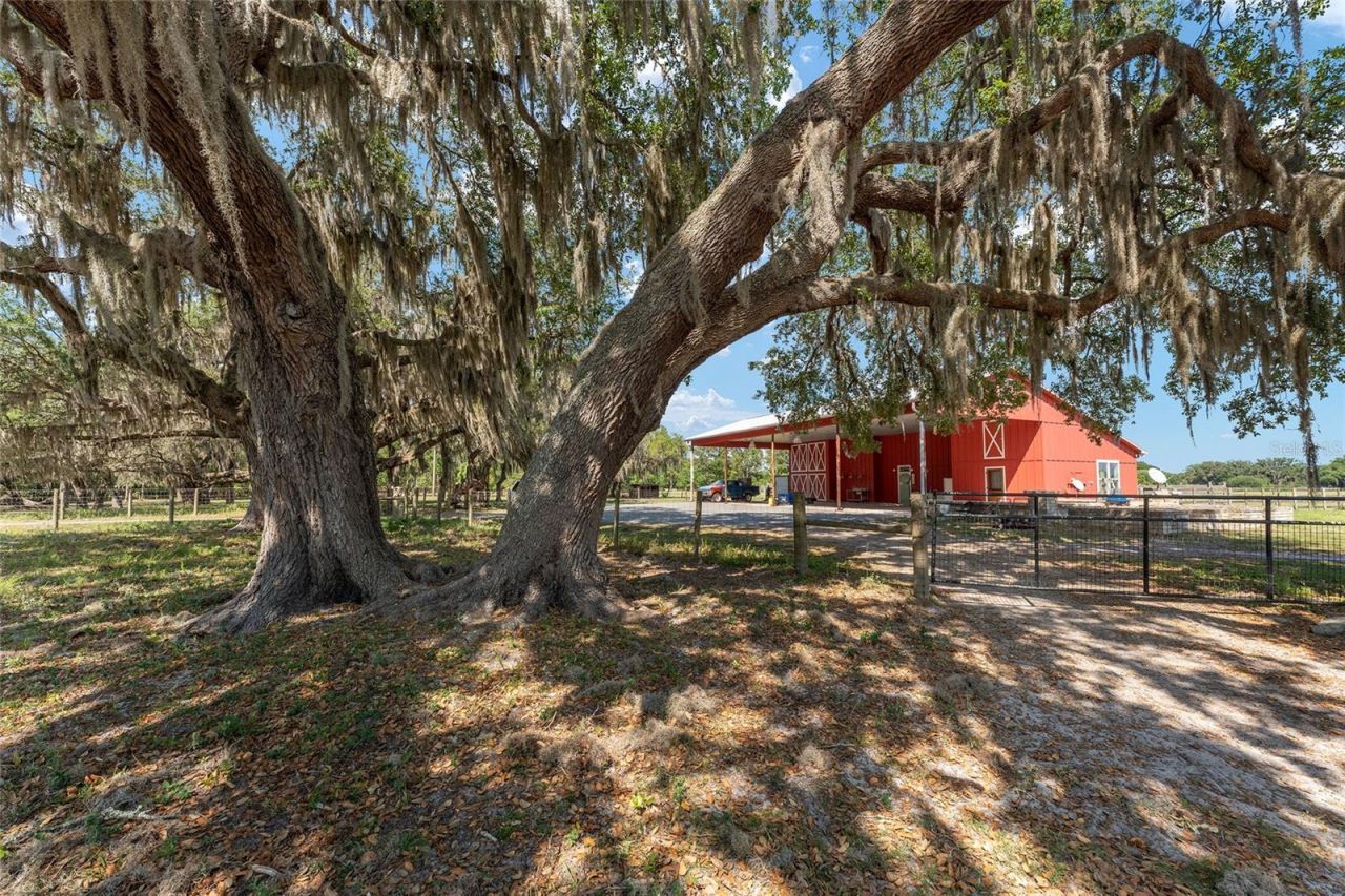 15120 SE 85th Street, Ocklawaha, FL 32179 Photo