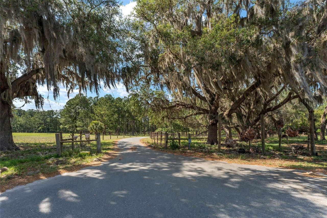 15120 SE 85th Street, Ocklawaha, FL 32179 Photo