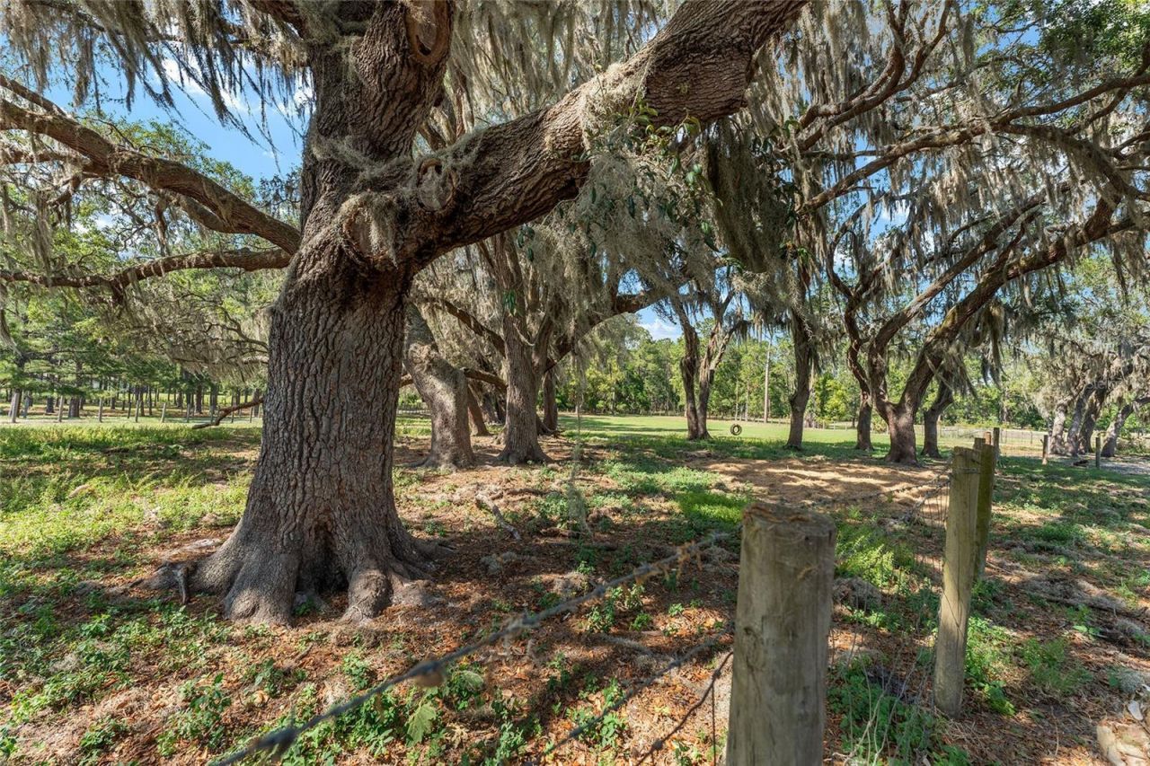 15120 SE 85th Street, Ocklawaha, FL 32179 Photo