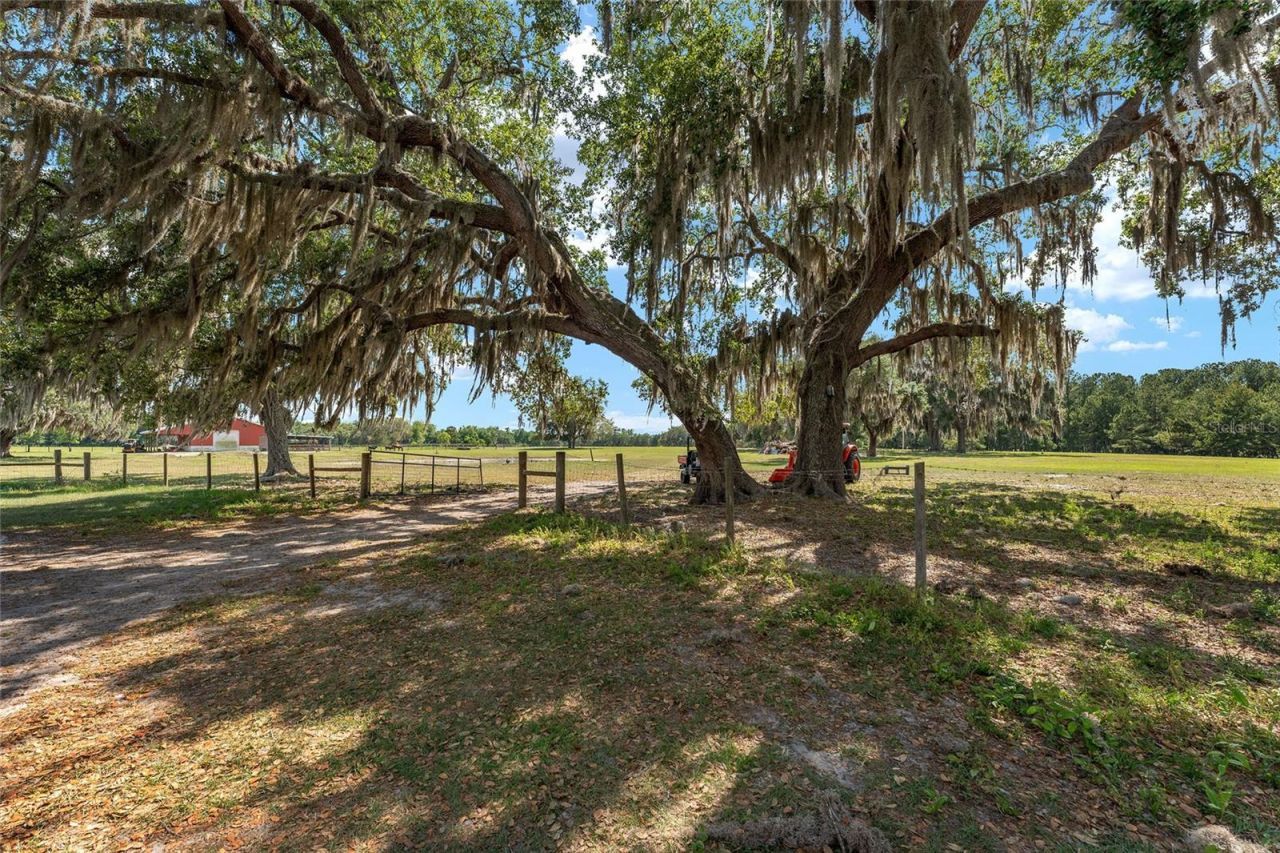 15120 SE 85th Street, Ocklawaha, FL 32179 Photo