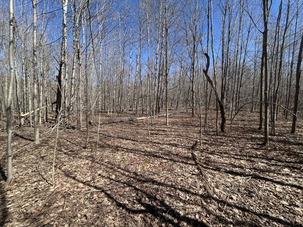 Lot 738 Pine Run, Elmira, MI 49730