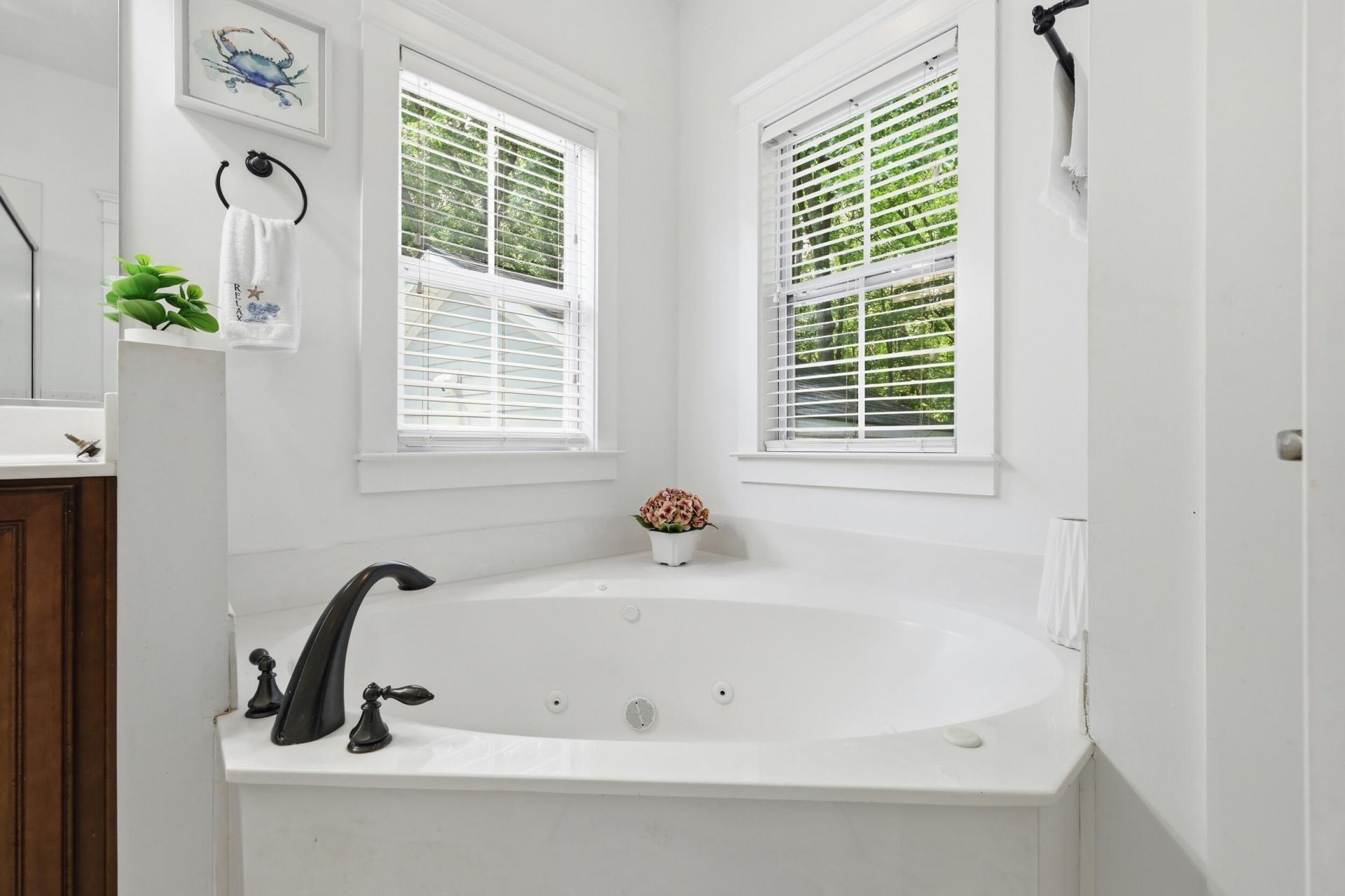 110 Franklin Retreat Court Photo 21