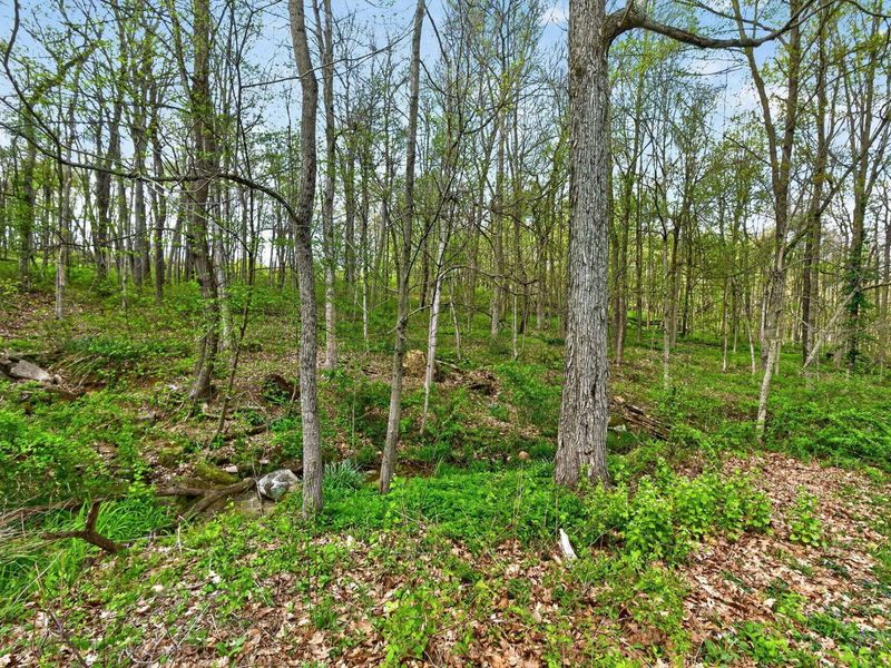 15331 Wooster Road , Mount Vernon, OH 43050 Photo 38