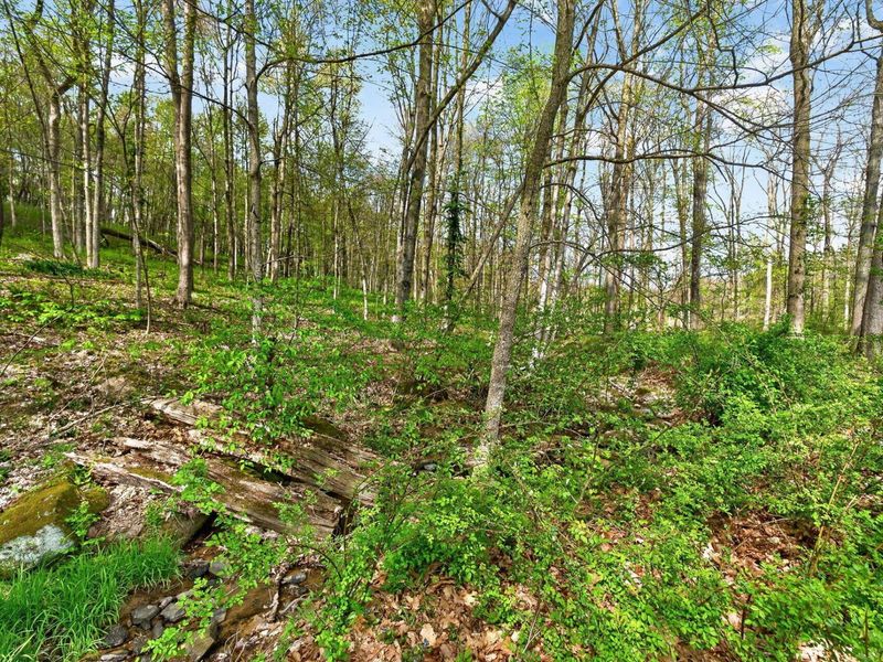 15331 Wooster Road , Mount Vernon, OH 43050 Photo 39