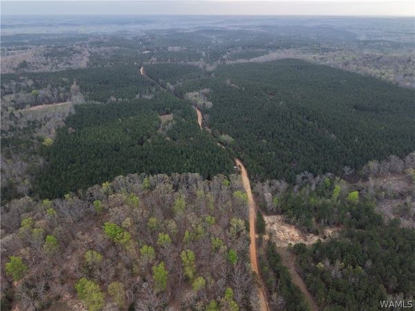 0000 GRANT, Vina, AL 35593