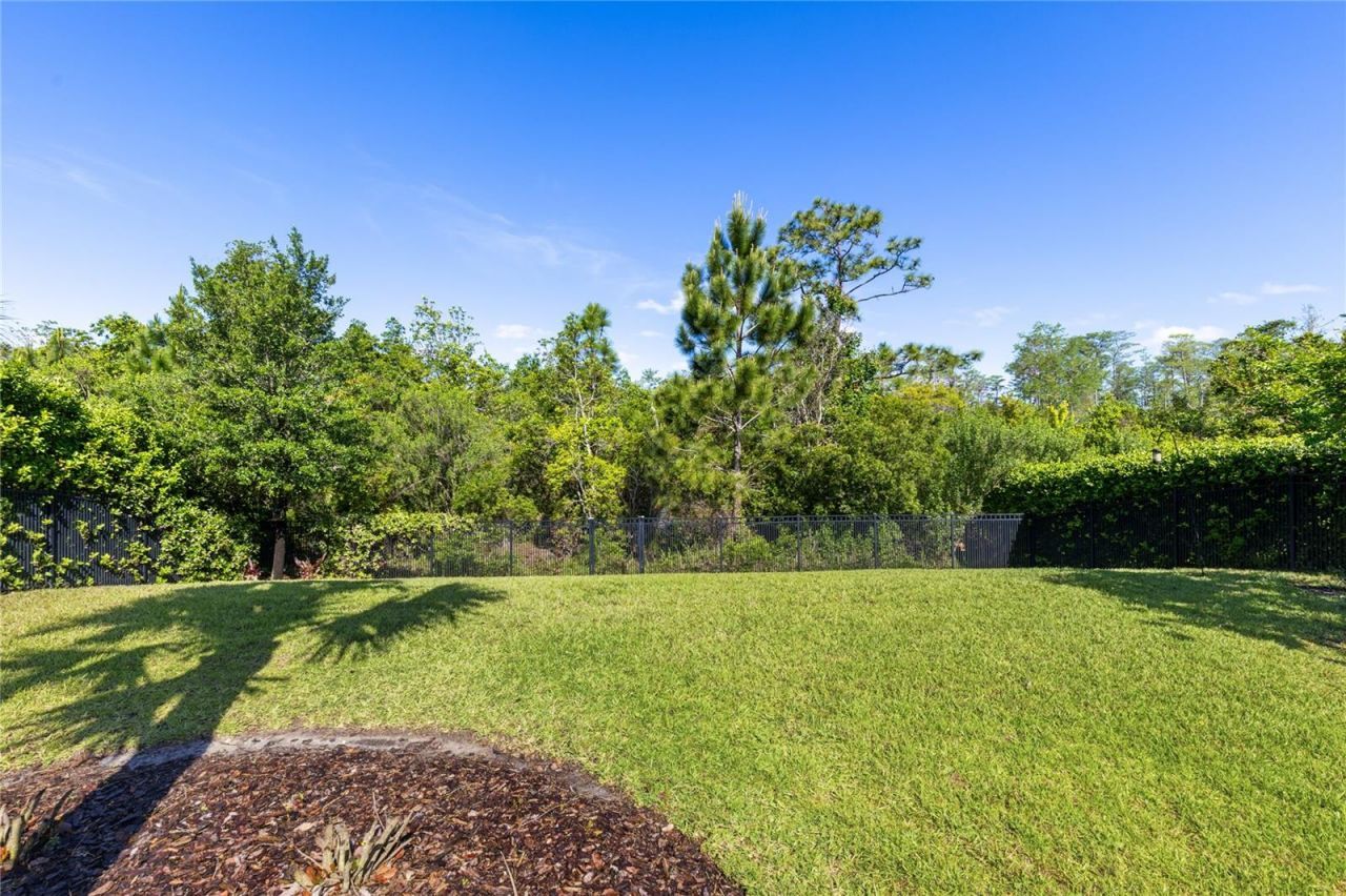 12724 Bovet Avenue, Orlando, FL 32827 Photo