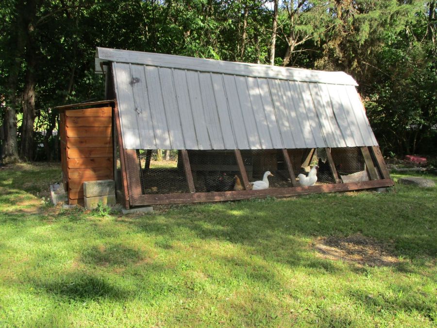 Property Image 32