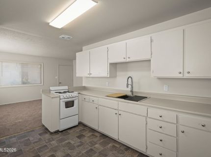 1532 & 1534 County Road, Minden, NV 89423 Photo