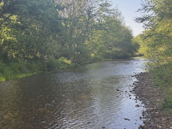 519 Highway 48 S, Centerville, TN 37033