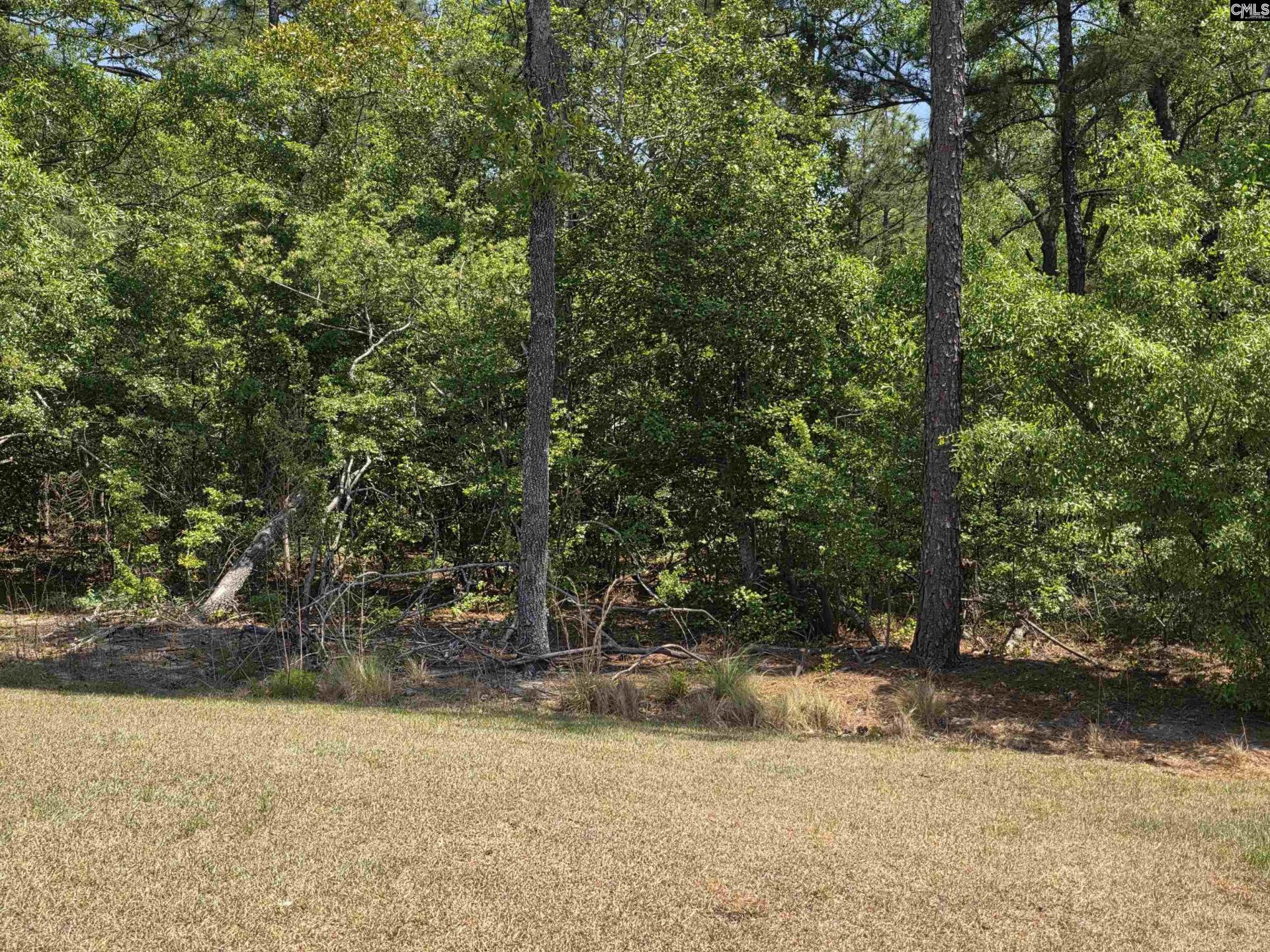 312 Reedmace Court  Photo 15