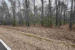 1644 Pincushion Road photo 4