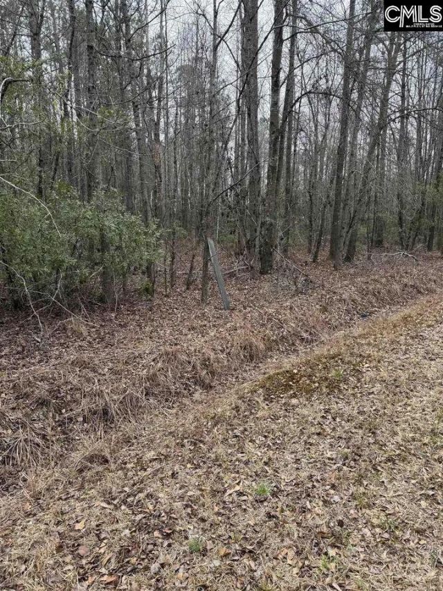 1644 Pincushion Road Photo 4