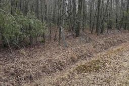 1644 Pincushion Road photo 4
