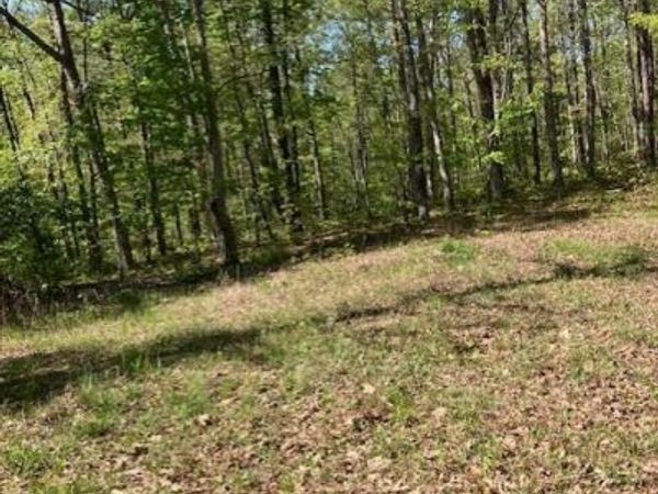 12 W State Highway 8 , Potosi, MO 63660