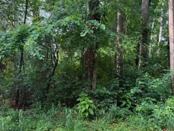 23575 Three Points Drive , Frankston, TX 75763