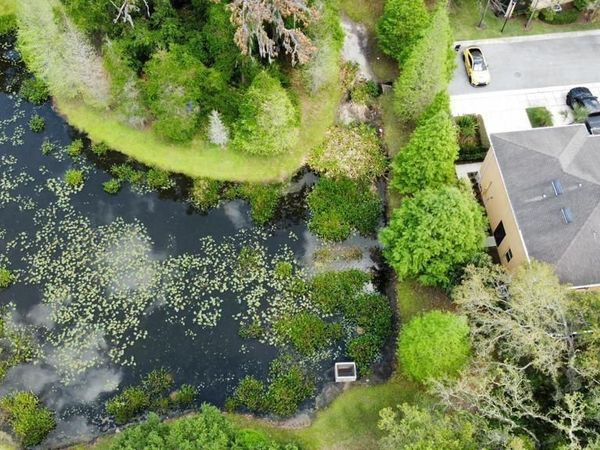 8301 PINE RIVER ROAD , TAMPA, FL 33637