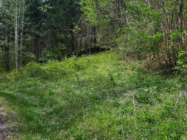 0 Weber Lane , Celina, TN 38551