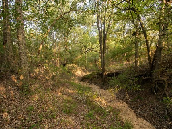 438 Firefly Field LN , Seguin, TX 78155