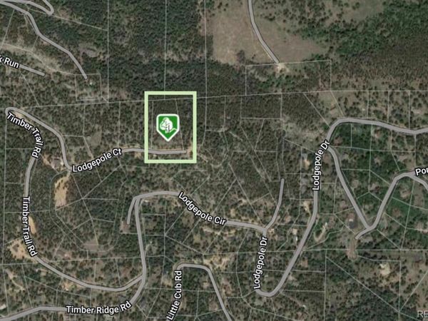 32593 Lodgepole Drive , Evergreen, CO 80439
