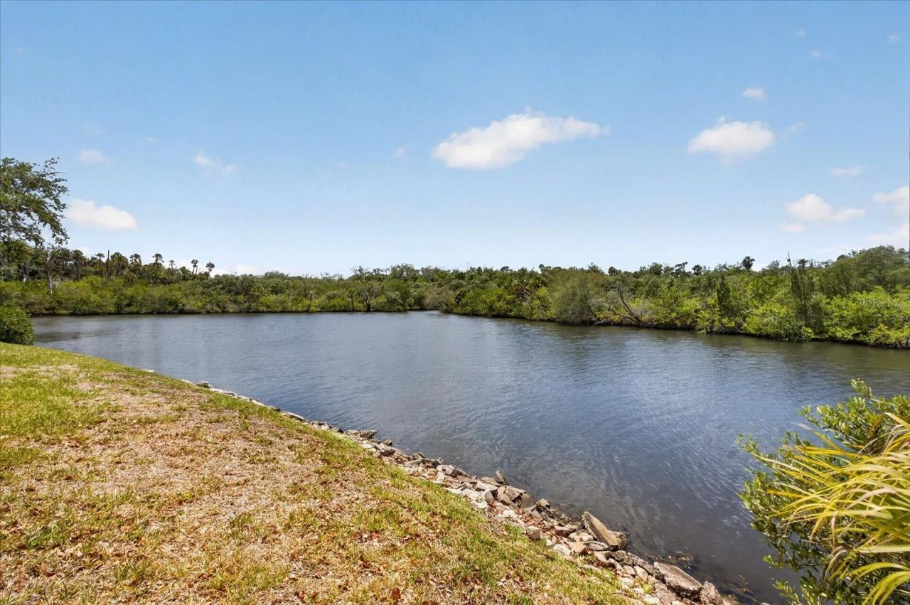 4116 Hampton Drive , New Port Richey, FL 34652 Photo