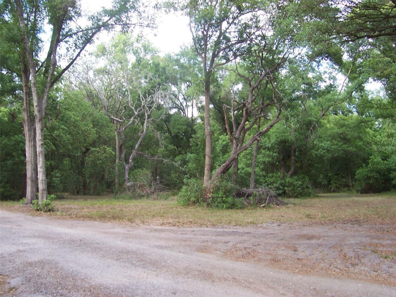 37544 Tucker Road, Zephyrhills, FL 33541 Photo