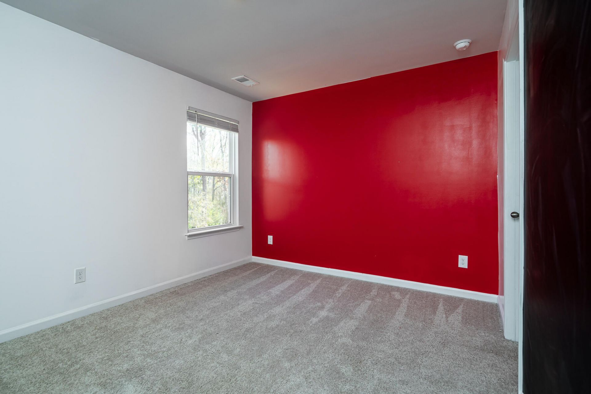 833 Kirby Court Photo 12