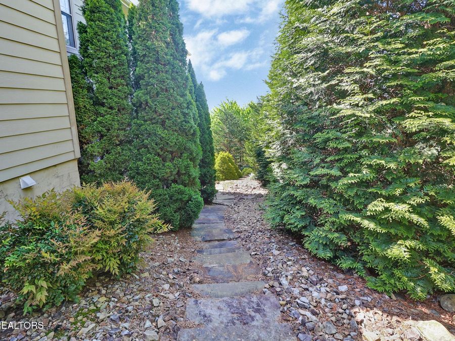 Property Image 56