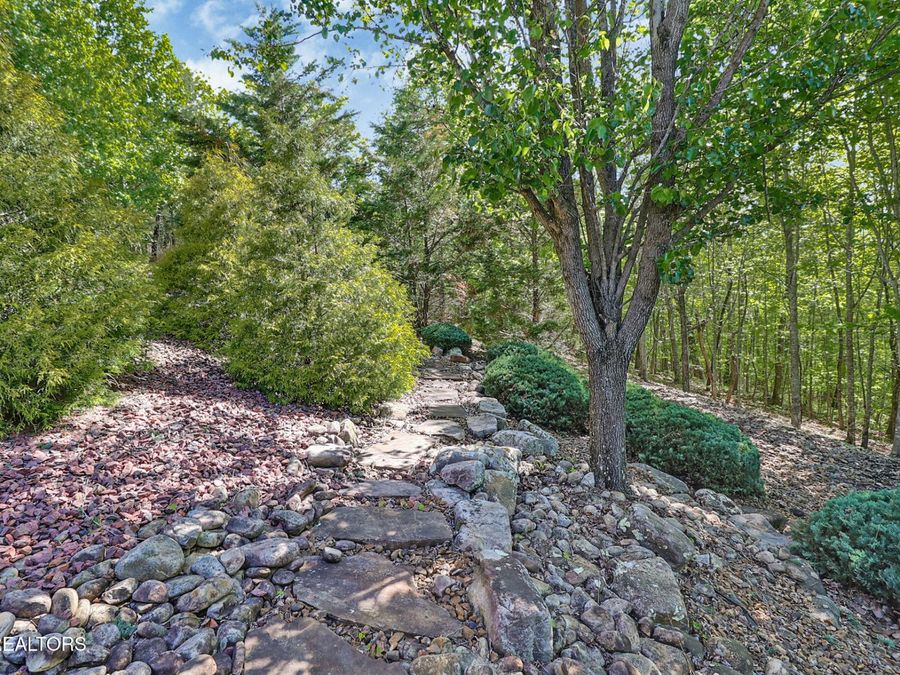 Property Image 58
