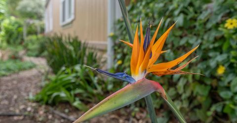 132 Danielle Way, Folsom, CA 95630 Photo