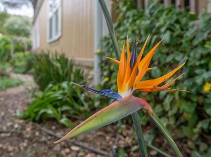 132 Danielle Way, Folsom, CA 95630 Photo