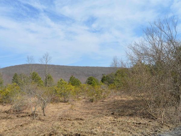 Lots 4 & 3 Grosbeak Drive, Terra Alta, WV 26764