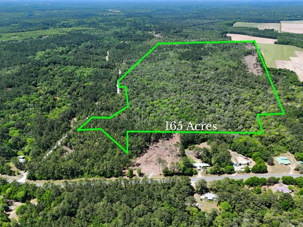 165 Acres Plantation Lane, DeFuniak Springs, FL 32433