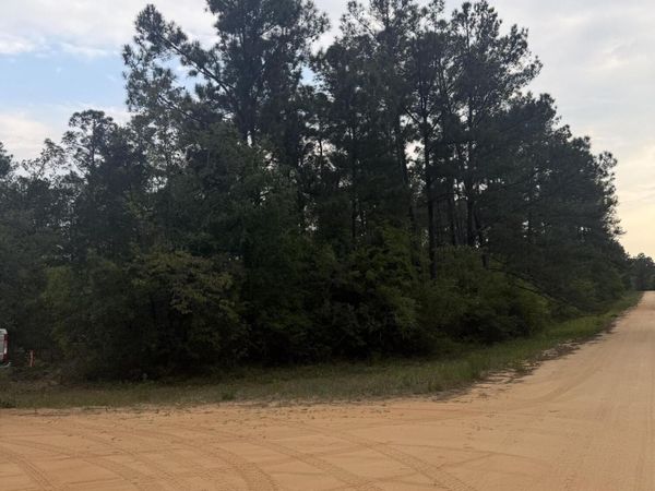 000 Deshutes Drive , Alford, FL 32420