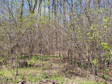 00 VL Pady , Brighton Twp, MI 48114