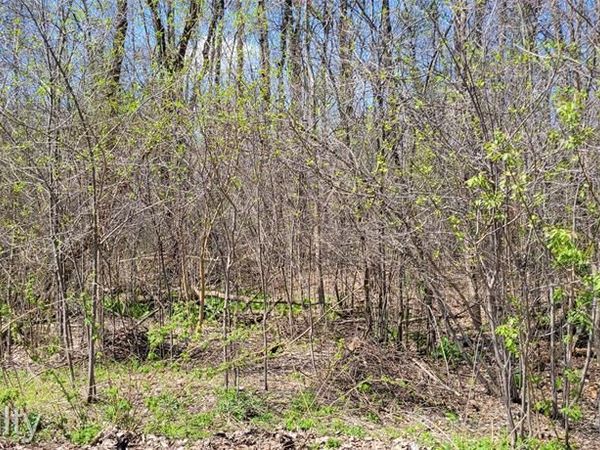 00 VL Pady , Brighton Twp, MI 48114