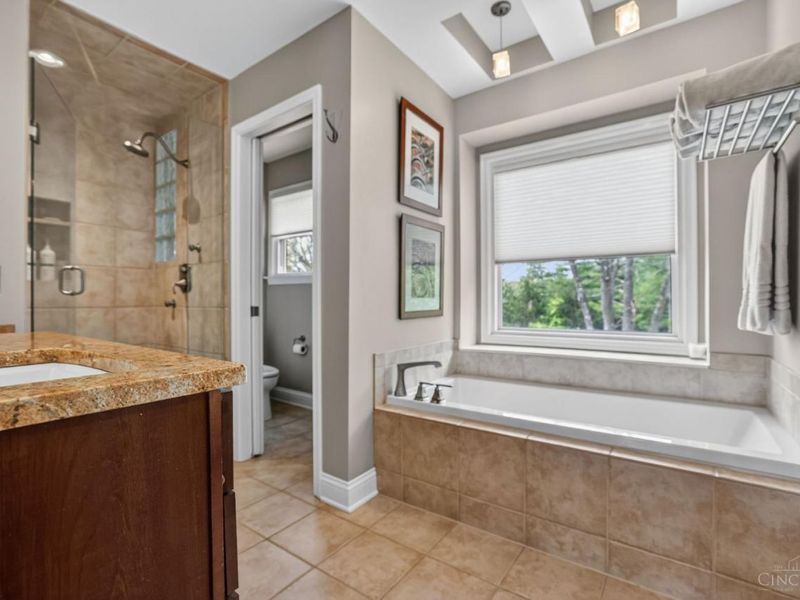 10317 Stablehand Drive, Symmes Township, OH 45242 Photo 19