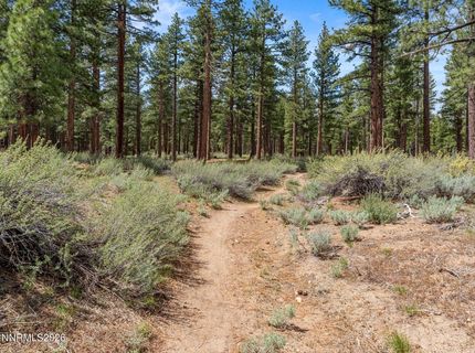 1005 Joy Lake Road, Reno, NV 89511 Photo