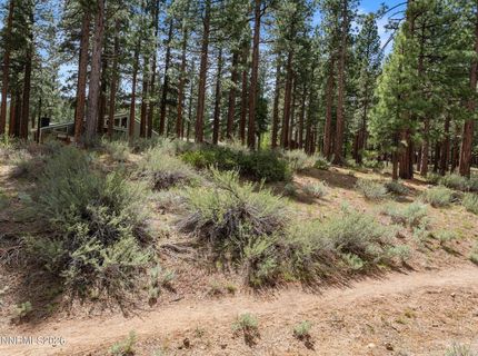 1005 Joy Lake Road, Reno, NV 89511 Photo