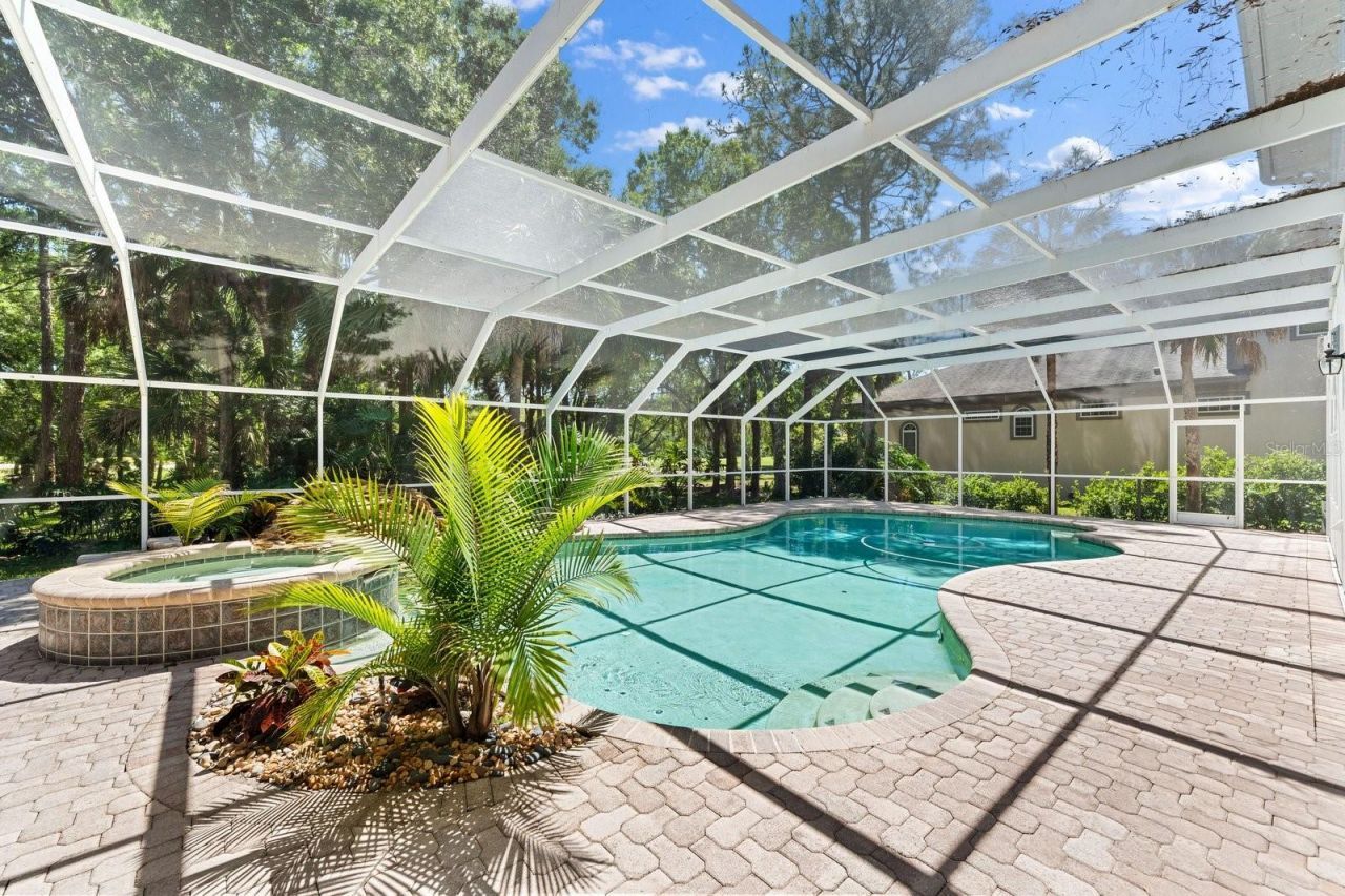 6413 Maclaurin Drive, Tampa, FL 33647 Photo