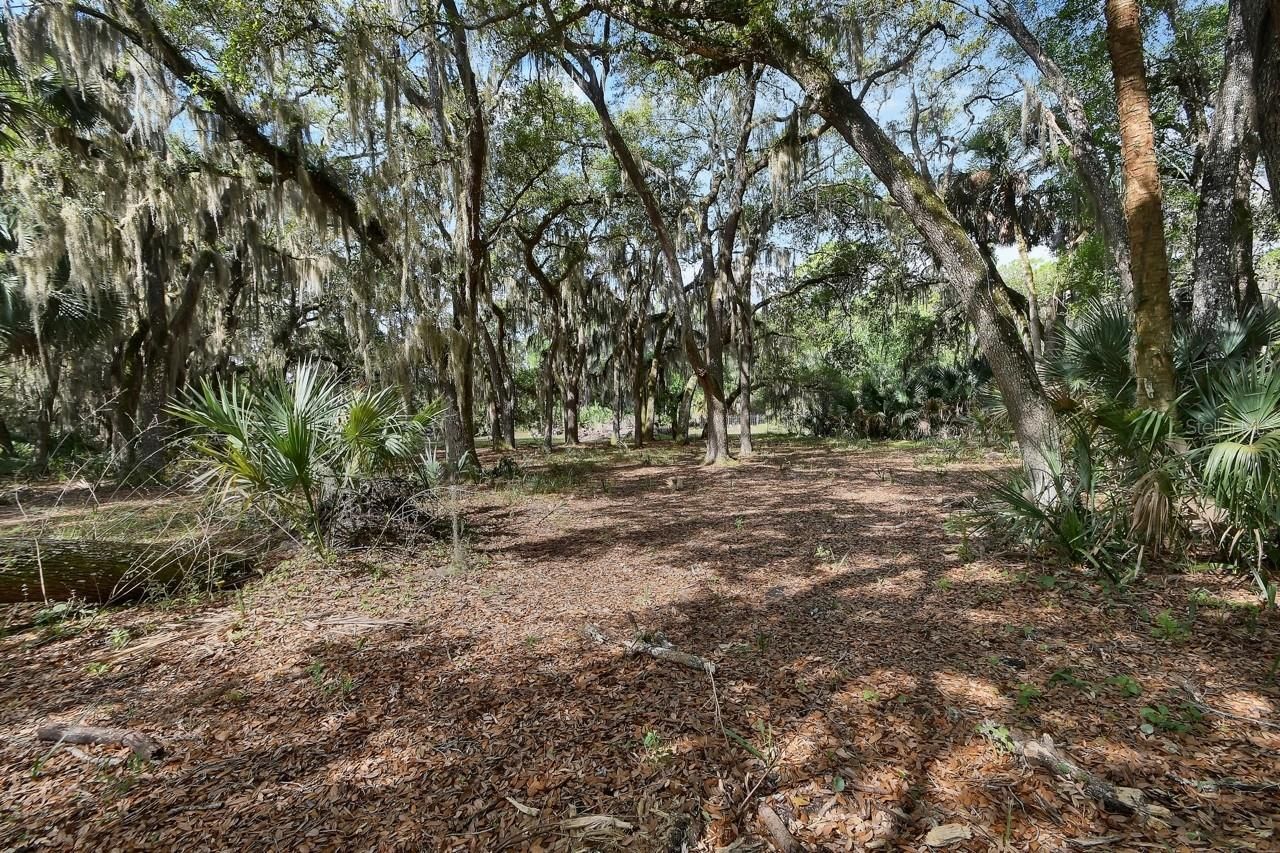 175 Baywood Drive , Oak Hill, FL 32759 Photo