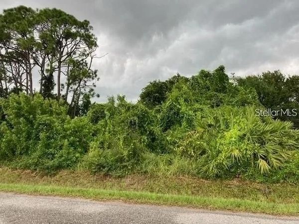 CONRAD ROAD , VENICE, FL 34293