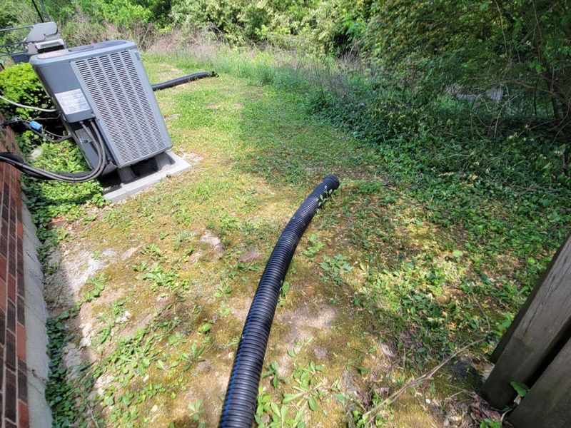 4253 Berrywood Drive, Unit 2, Independence, KY 41051 Photo 13