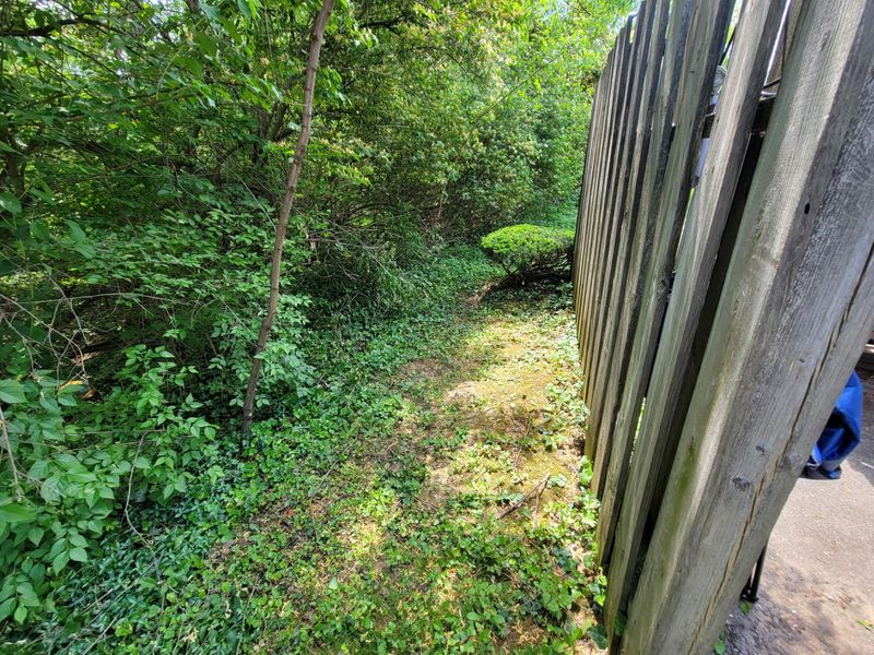 4253 Berrywood Drive, Unit 2, Independence, KY 41051 Photo 6