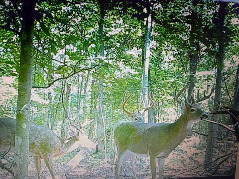 545 N County Line Road, Sunbury, OH 43074 Photo 55